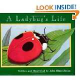 Ladybugs Life (Nature Upclose) by John Himmelman and Melissa Stewart 