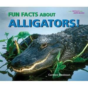  Fun Facts About Alligators (I Like Reptiles and 