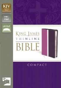 KJV Thinline Red Letter Bible Compact Orchid Purple 9780310439172 