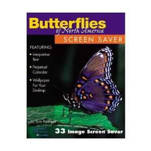   Saver Butterflies of North America, Vivid Hues, Elusive and Alluring