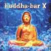 Buddha Bar 12 Various  Musik