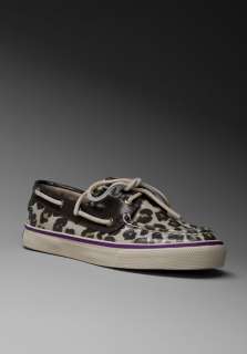 SPERRY TOP SIDER Bahama in Fog Leopard Coated Canvas at Revolve 