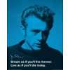James Dean   Zitat Dream As If Youll Live Forever Mini Poster (50 x 