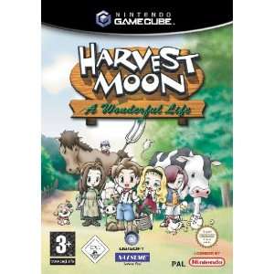 Harvest Moon   A Wonderful Life  Games