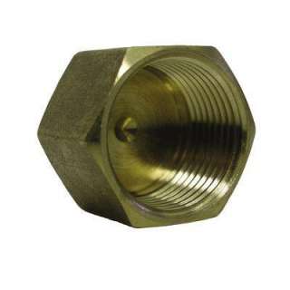 Watts 3/8 In. Brass FIP Pipe Cap A 769 at The Home Depot 