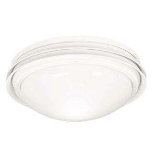 Marine II Outdoor Ceiling Fan Light Kit 28438 at The Home Depot