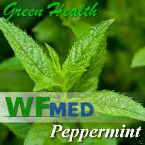 16 OZ Peppermint Essential Oil 100% PURE Uncut  