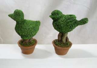 2er Set Buchsbaumfiguren im Topf 10 cm Poly Ente Vogel  