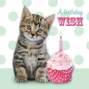 Katzen Karte   Happy Birthday Cupcake   Geburtstagskarte: .de 