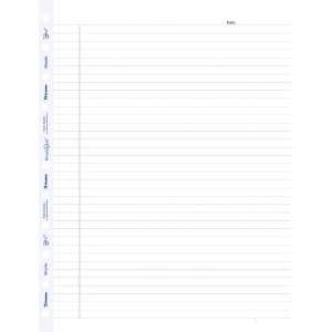  Blueline MiracleBind Notebook Refill Sheets, Ruled, 11 x 9 
