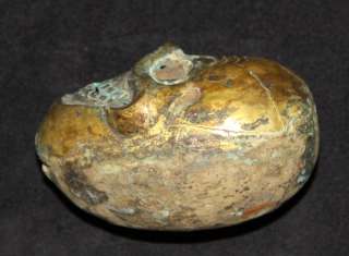 Name Wonderful Rare Antique Mystery Tibetan Gilded Copper Skull Head 