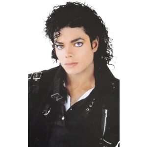Michael Jackson Curly Wig Adult, 65796 
