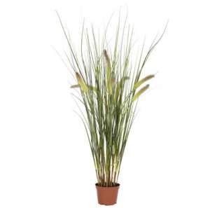 NEARLY NATURAL 2.5 ft Grass Plant Artificial Flowers 6647  