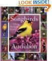 Audubon 365 Songbirds and Other Backyard Birds Picture A Day Calendar 