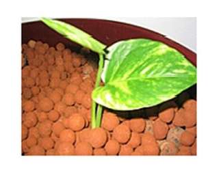 Hydroton media is the first choice for aquaponic gardeners