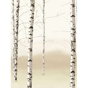  Wallpaper 4Walls Eco Value Murals Birch trees H1974PM 