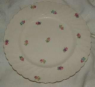   ROYAL STAFFORDSHIRE PLATES BY CLARICE CLIFF IN THE DEVONSHIRE PATTER