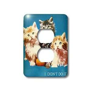   Cats   Innocent kittens   Light Switch Covers   2 plug outlet cover