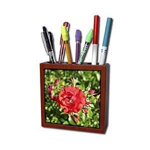 Patricia Sanders Flowers   Summer Red Rose Floral   Tile Pen Holders 5 
