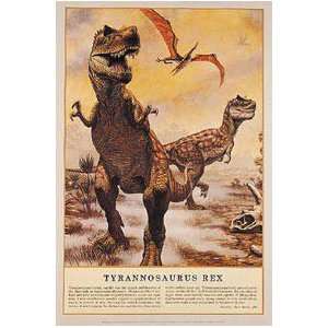  Animals Posters Dinosaurs   Tyrannosaurus Rex Poster 