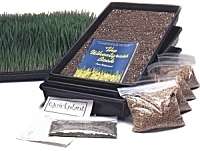 Wheatgrass Growing Kit Organic Seeds Wheat Grass  