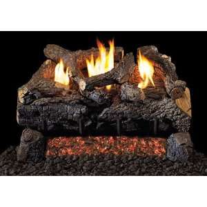   Free Gas Logs with Burner for Natural Gas Fireplace
