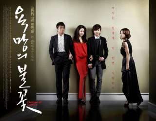 Flames of Desire   Korean Drama Eng Sub 8 DVDs SET New  