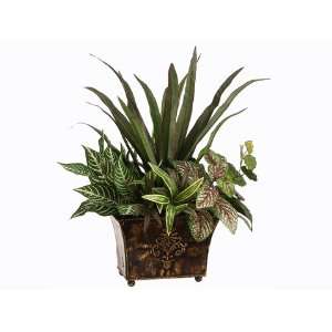  19 Yucca/Zebra/Ivy Mix in Metal Container Green Red (Pack 