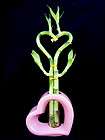 Stalks of Lucky Bamboo in a Pink heart shaped vase for feng shui or 
