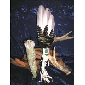  NATIVE AMERICAN INDIAN RITUAL SACRED EAGLE FEATHER STYLE 