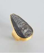   gold plate orthoceras fossil and cubic zirconia ring style# 318435901
