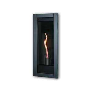   Napoleon GT8 The Torch? Direct Vent Fireplace   7315