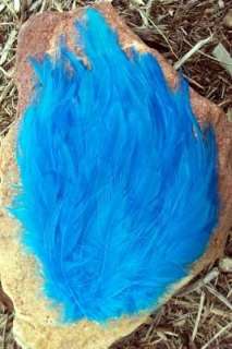 TURQUOISE BLUE ROOSTER HACKLE FEATHER PAD LOW SHIP  