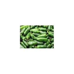  Todds Seeds   Hot Pepper   Jalapeno M Hot Pepper Seed 
