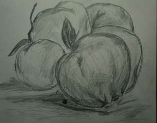 Fruit Vegetable Drawing Pencil Modern house abstract onion US 10004 
