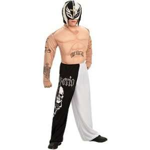  WWE Deluxe Rey Mysterio Jr. Child Halloween Costume (Large 